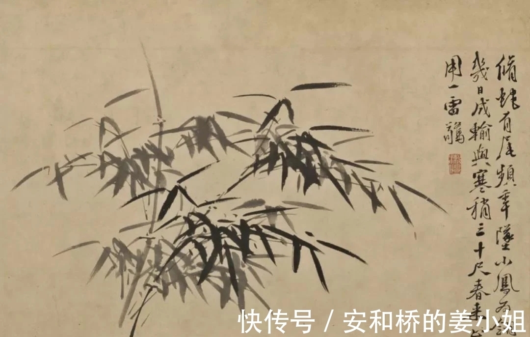 芭蕉！花鸟画一代宗师｜徐渭画竹，当在青藤之后，芭蕉之上，你认为呢？