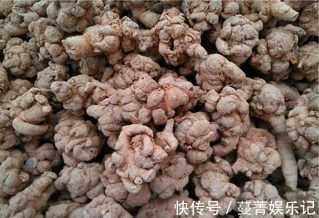 遇见|农村野草类似三七,却有点像菊花,有很多作用,遇见好好珍惜!