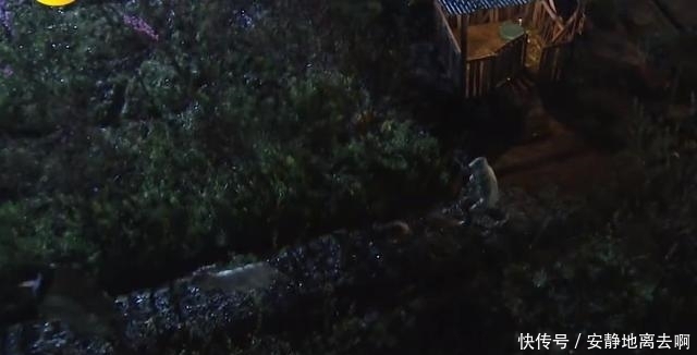 《向往的生活》蘑菇屋条件艰苦?节目组真的没有必要太刻意去设计