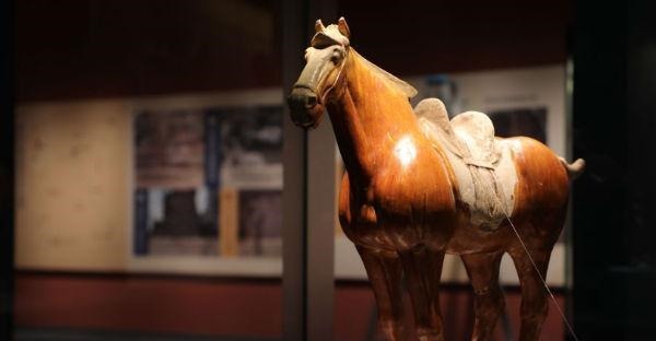 文物|“天路长歌——唐蕃古道沿线七省区精品文物联展”在川博开幕