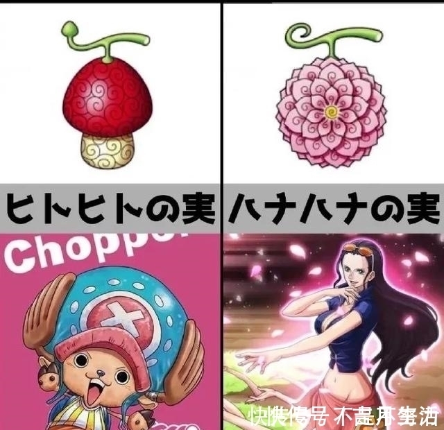 路飞|奇形怪状的恶魔果实,能力各不同,你喜欢哪个?