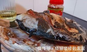 家常鱼肉菜谱,鱼头炖豆腐,做法简单,美味营养,超级下饭