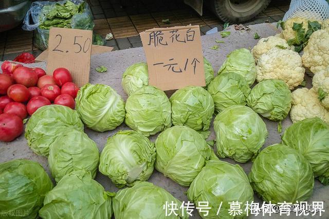 包菜|它叫“不死菜”，富含叶酸，维生素是番茄的3倍，开春吃它正合适