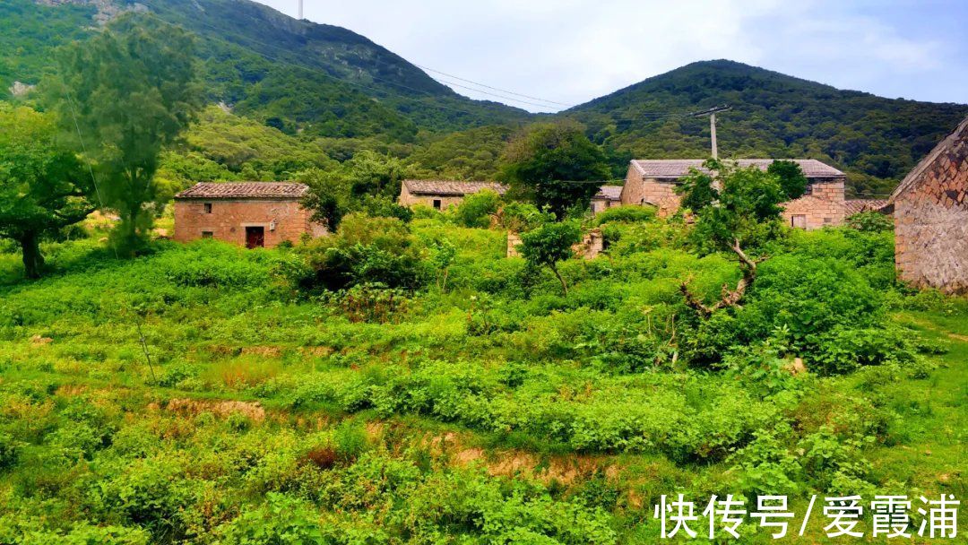 石头|惊艳！霞浦这么美的石头古村落，有时间一定要去看看