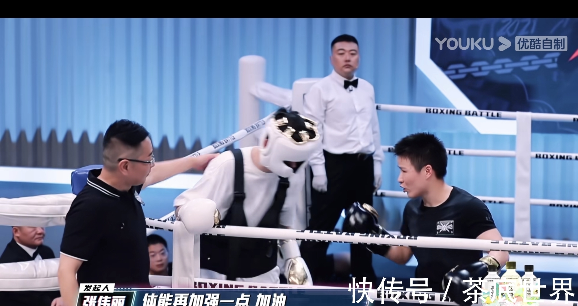 综艺|拳拳到肉!张伟丽1打24,这档拳击新综艺确实够凶猛