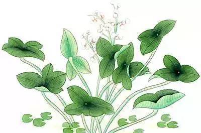 空调病|2021三伏时间表：三伏天，自己养自己的日子！最全的三伏知识！