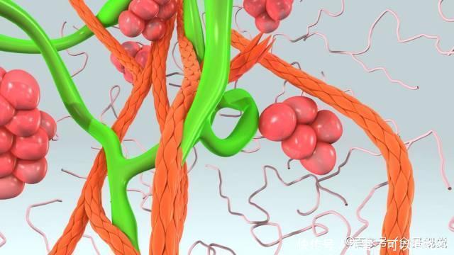 甘油三酯|老中医:坚持食1“酸”,血管干净了,甘油三酯或能降下来
