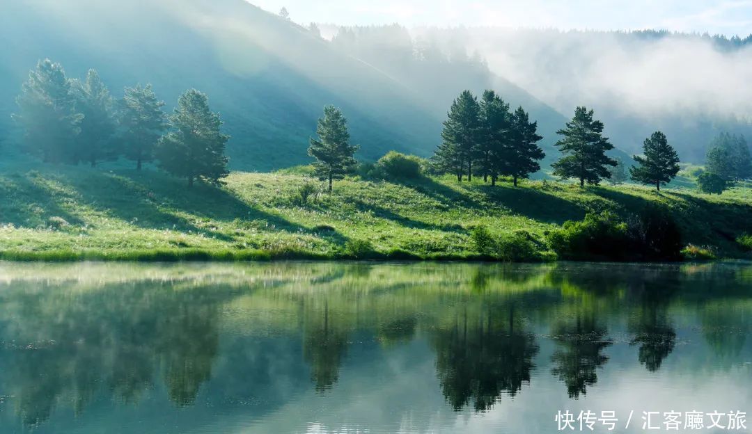 樟子松|这个夏天，我劝你一定要去一次内蒙古 ！