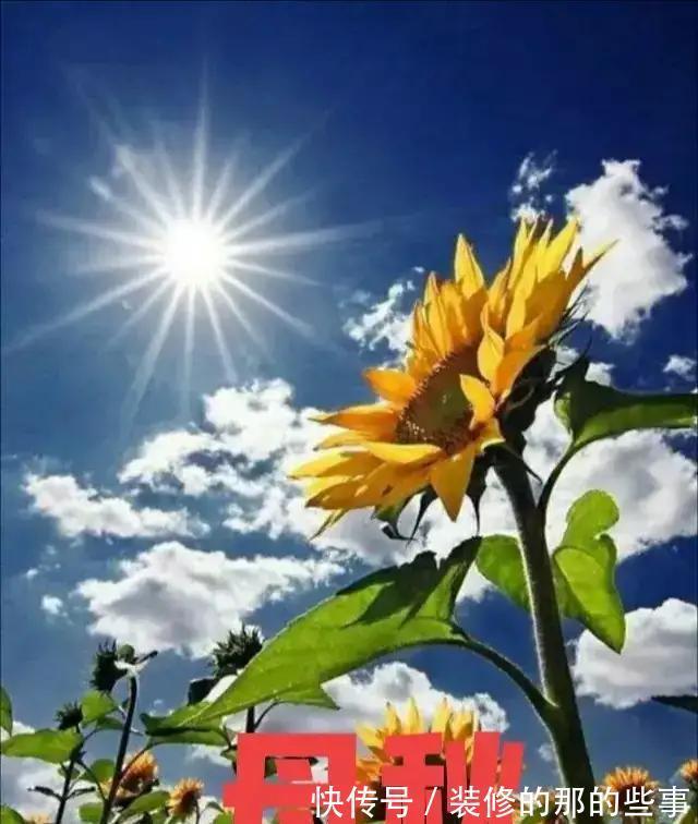 秋老虎|“公秋爽,母秋凶”2021年立秋是公还是母?秋后有秋老虎吗?