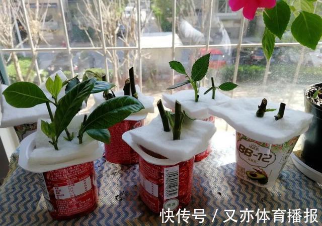 家里的油桶作用大,别扔,一个月不愁菜吃