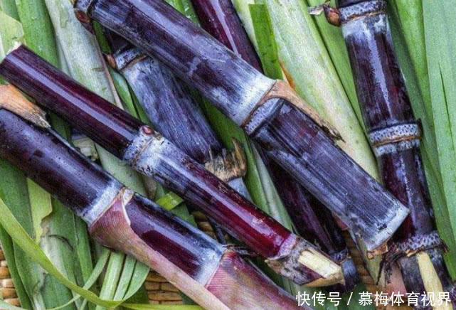 接受|老外眼中“中国最难吃”的4种水果,第2种看着像红薯,难以接受