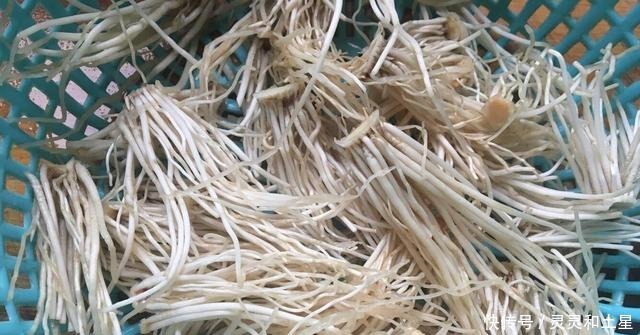 过年,大鱼大肉吃多了一定要吃点这蔬菜,排毒清肠又杀菌