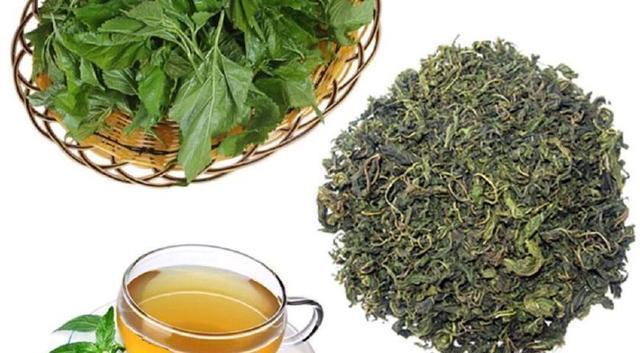 三高|农村的这个植物防癌还能治三高，你会使用吗