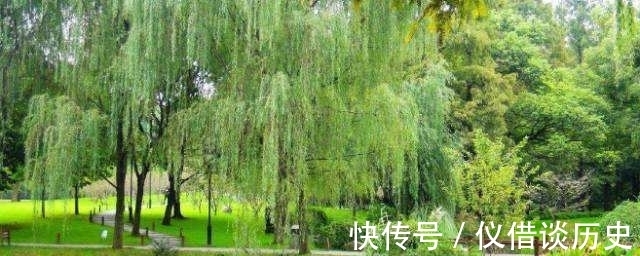 诗人|白居易的一首《钱塘湖春行》，全诗短短56个字，令人心旷神怡