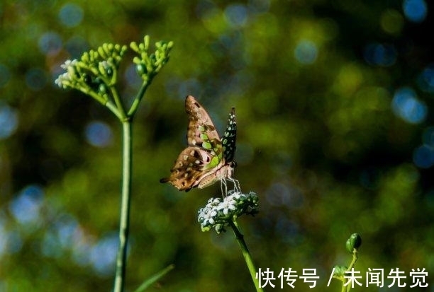 恩爱|近期内，越挫越勇，依然有爱，挚爱降临，牵手相依，恩爱如初