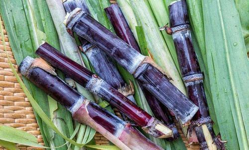 糖分|糖尿病人可以吃猕猴桃吗？医生：想稳定血糖，3种水果建议拉黑