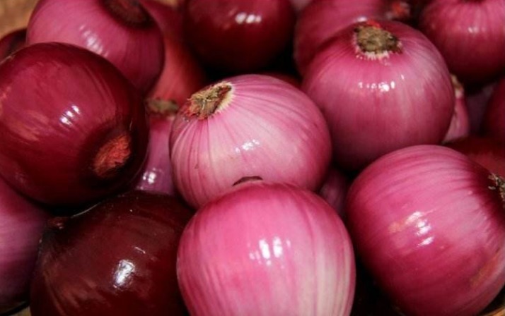 买洋葱,紫皮白皮哪个好!老菜农说漏嘴,2种区别大,别再买错了
