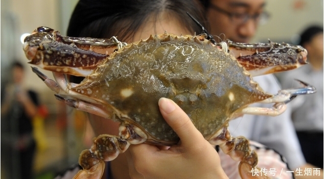 买到|买螃蟹时,学会从2个方面入手来挑选,包你买到的个个膏腴肥美