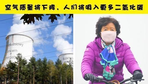 全球变暖 如果亚马逊雨林被彻底烧毁,可能会发生在地球上的11件事