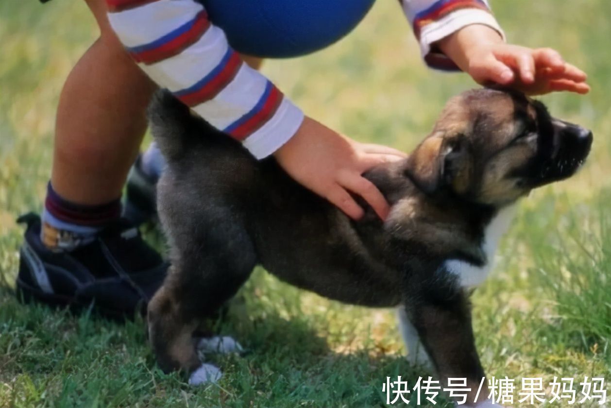 孩子|孩子的“大自然缺失症”悄悄蔓延,养娃过程中,勿忘与自然同行