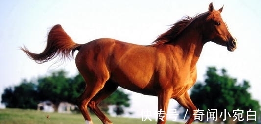 20条冷知识,奇怪又有趣,最后一条,我发现了工作的奥秘了