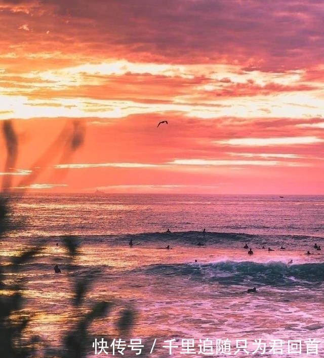 如梦初醒|触动灵魂的小句子精辟犀利,总有几句让你如梦初醒!