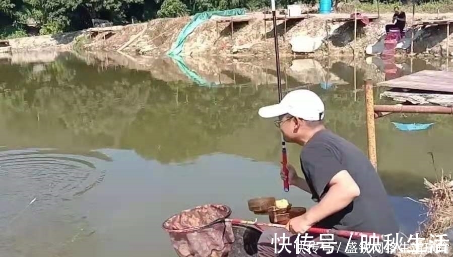 鲫鱼|千错万错就不该收竿,鲫鱼起浮后,只需调整一番,爆护都没问题