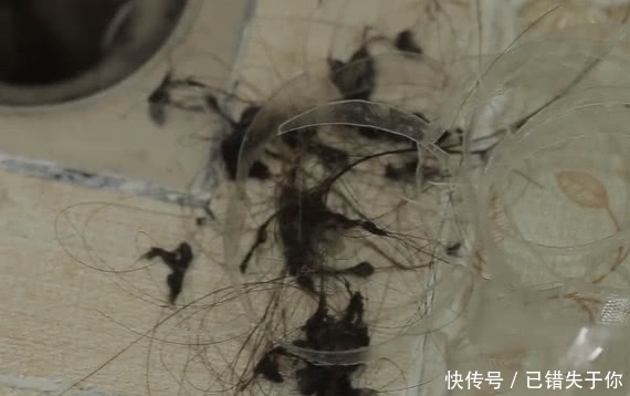 下水道容易被头发堵塞，教您成本花不了1毛钱，头发杂物都带走