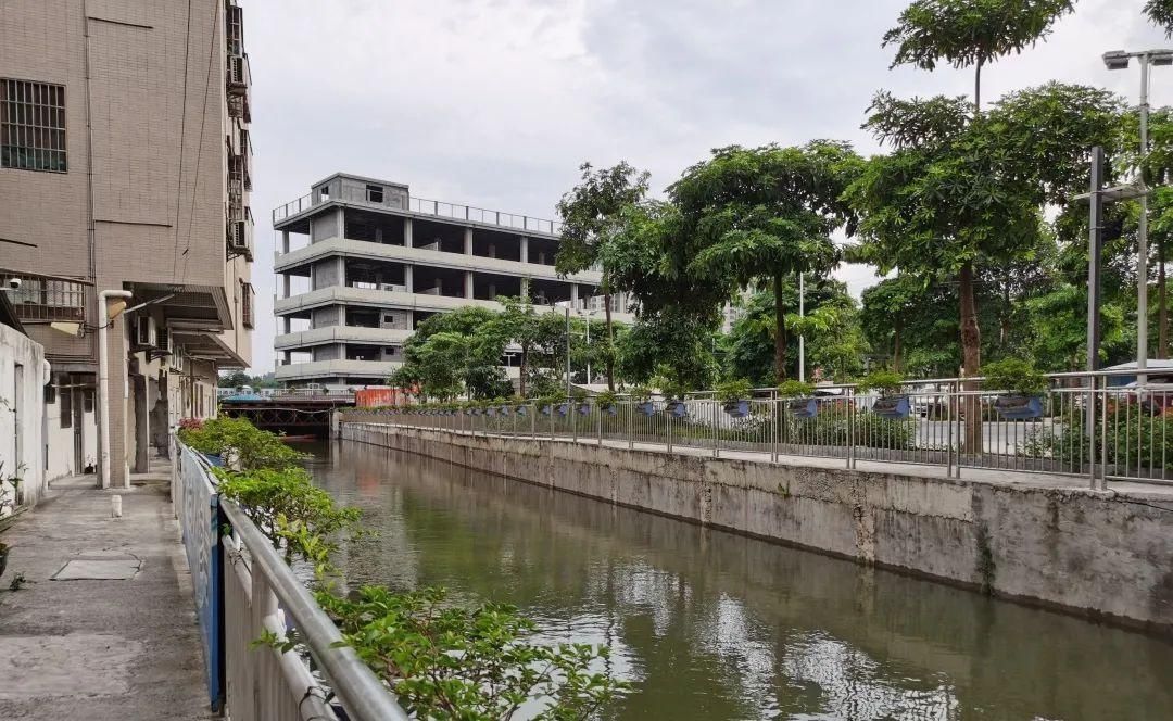 滨水|古村建起滨水骑楼街，番禺这个村焕然一新！