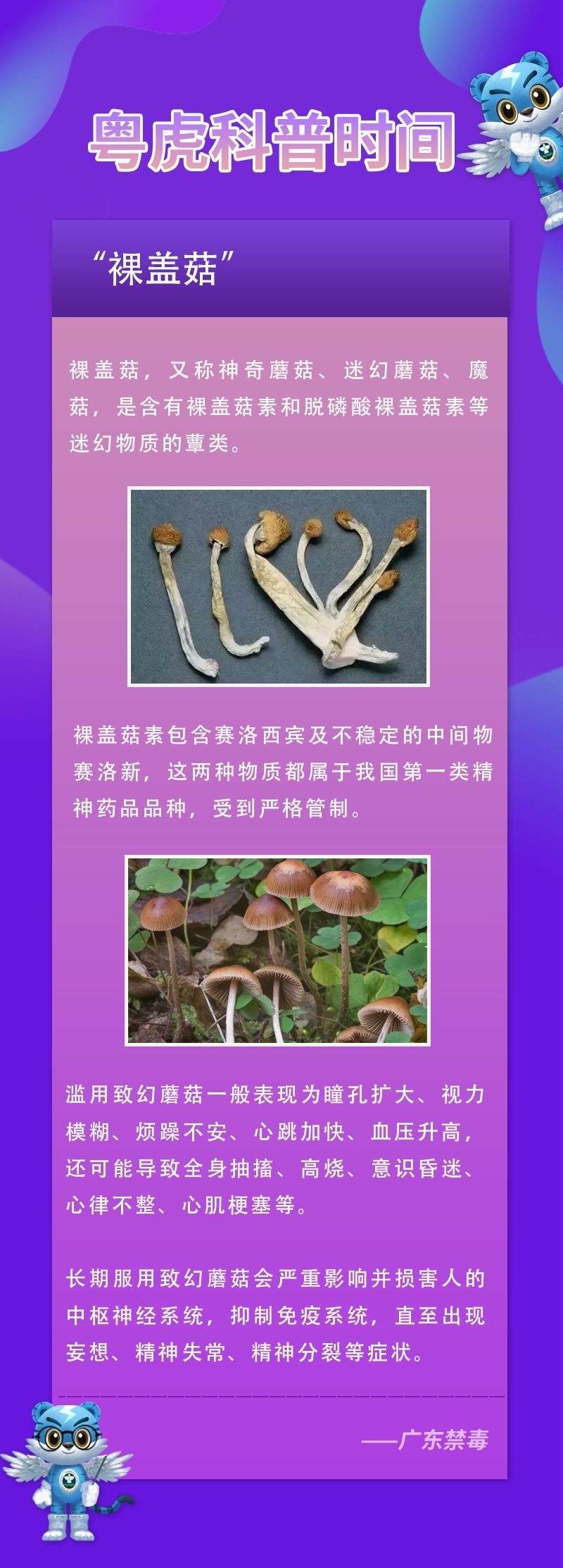 动画电影|红伞伞白杆杆 ，吃了马上躺板板……当心这些美丽的“毒物”！