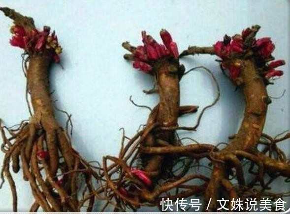 老人路边买了一花根,花贩说是五色牡丹,长大后让人愤怒