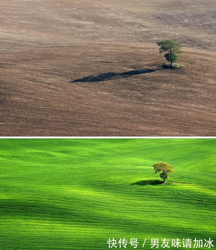 巨齿鲨#20张对比图,这将使您能够从未见过的角度看事物,第四期