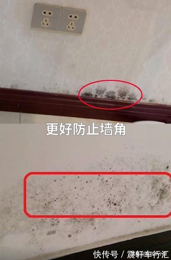 浴室柜|卫生间十装十不装，准备装修的你千万不要踩坑