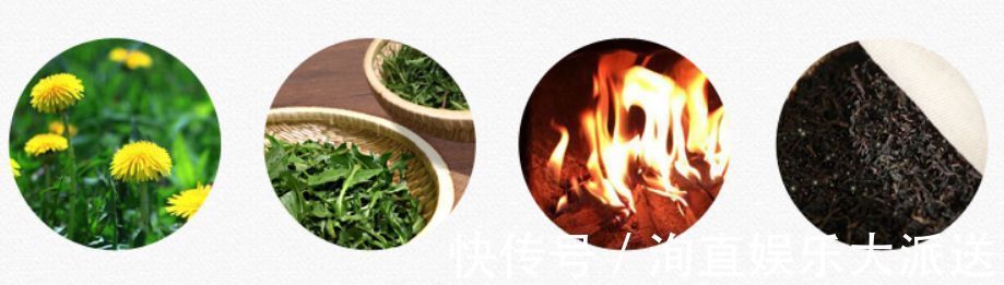 肠炎者|自己“晒干”的蒲公英,能当茶泡水喝吗有什么“禁忌”吗