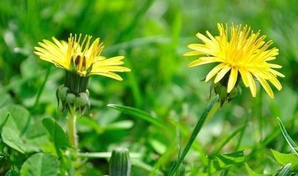 胃部有疾长寿难，生活中尽量少吃6类食物，尤其前2个，养胃保健康