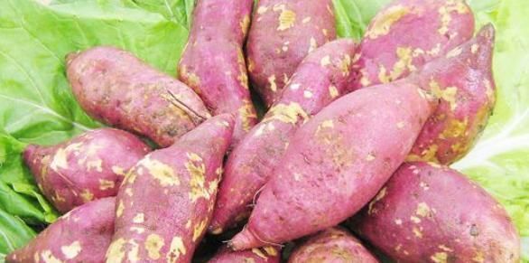 致癌|营养师提醒熬粥的时候不要放此食材,常吃易致癌,后悔才知道