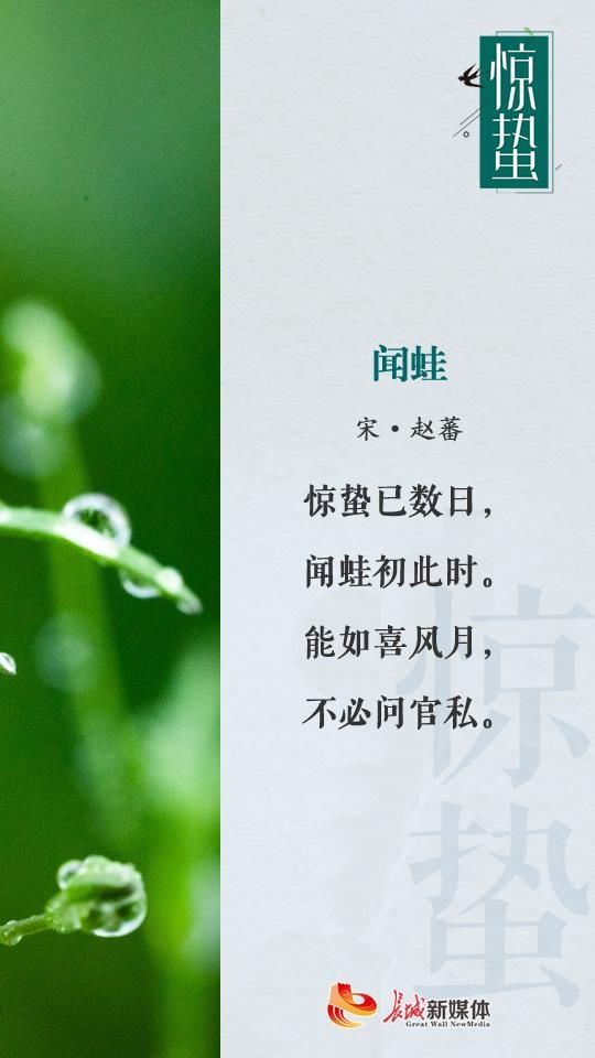  惊蛰诗节丨惊雷一声 万物春回