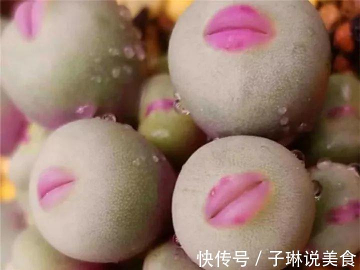 今年最火的奇葩多肉,价格这么贵,还有人抢着买!