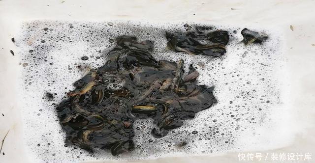 前脚放生鱼入水,后脚钓友下杆垂钓!垂钓者:我这是保护环境