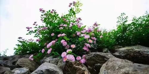 不花钱的美容方法——正确洗脸