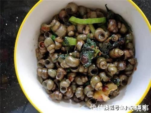 抗力|人称“盘中明珠”,在农村没人要,却是“钙中钙”,助发育提抗力