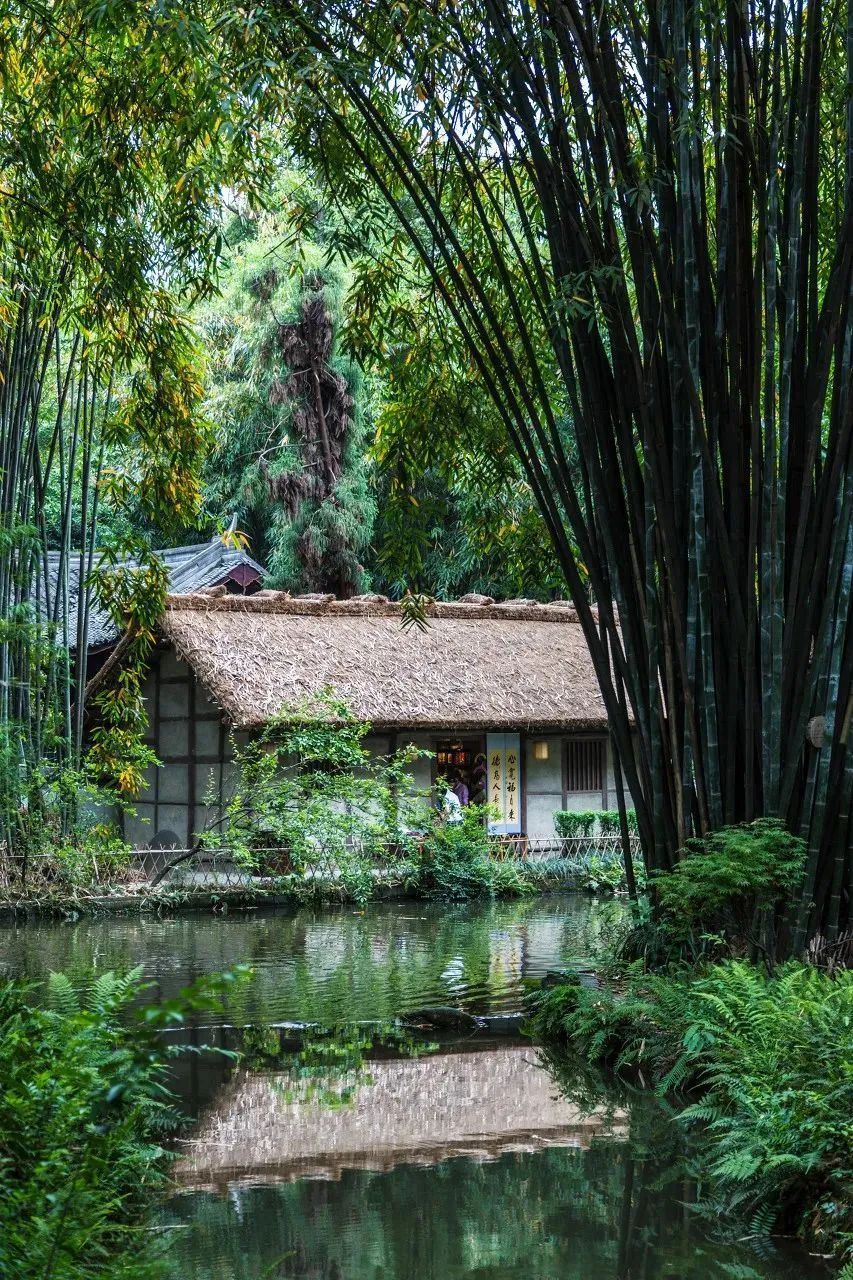 四川十大经典旅游景点，你去过几个