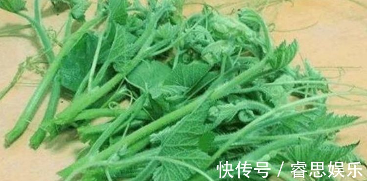 食物|聪明女性喜欢吃3种食物，补充营养、改善体质，早吃早好！