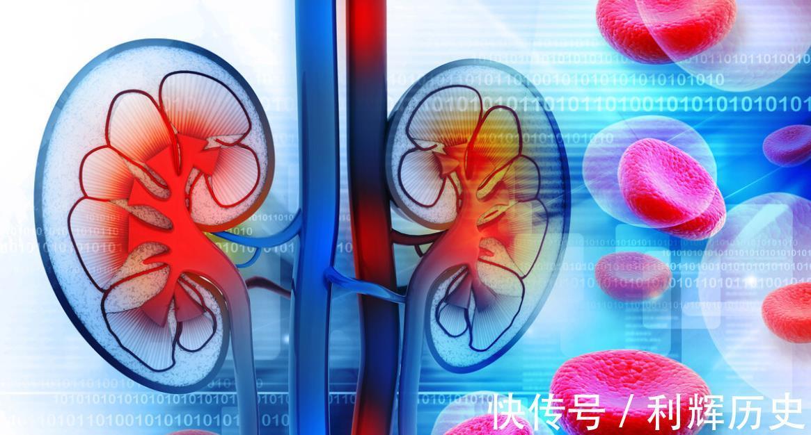 服用|天天服用二甲双胍，最终却出现肾损坏！医生揪出最大的幕后凶手