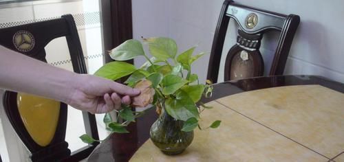 餐桌|餐桌旁不要放这3样东西,不是迷信,别不当个事,发现了赶快拿走