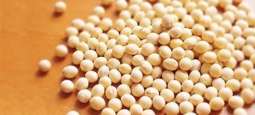 维生素8岁女孩1年长高10厘米,儿科医生:饮食习惯很不错,值得学习