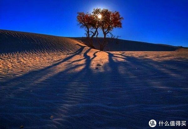  光芒|女人的价值是什么？独立、不依靠的女人自带光芒