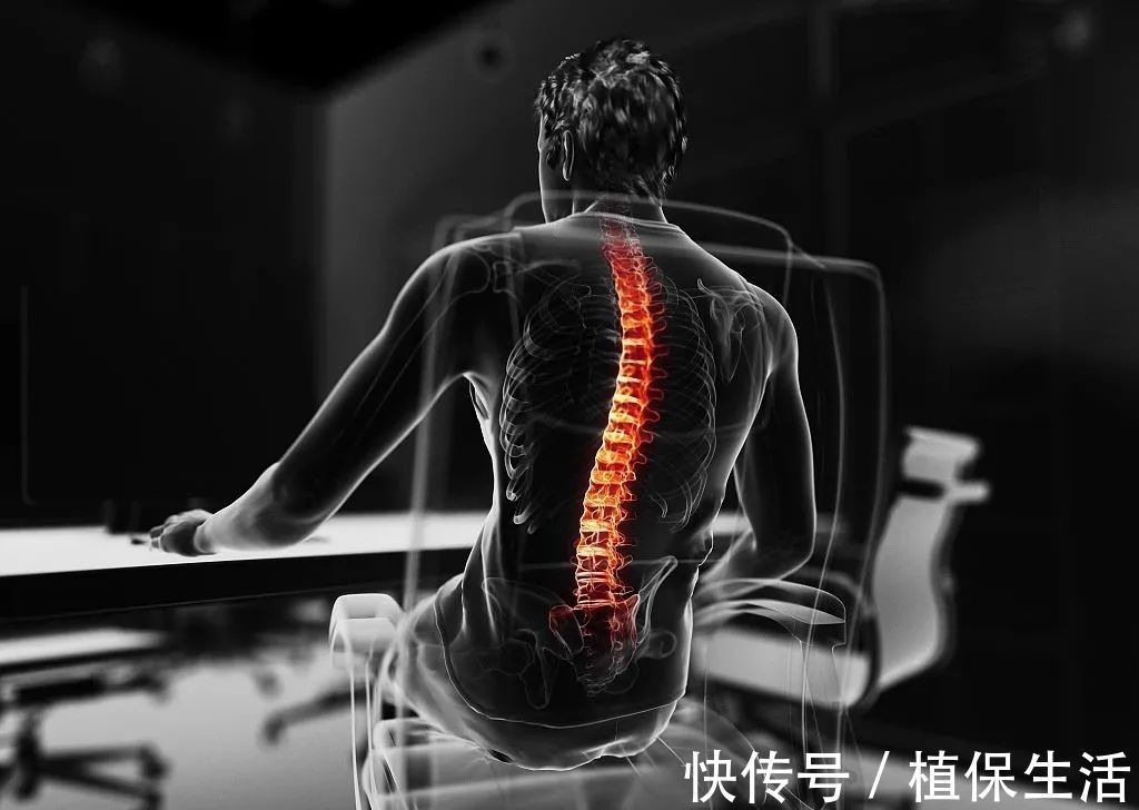 肋骨|打个喷嚏，腰就直不起来了！你为什么如此脆弱易折？