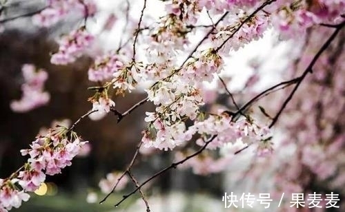 作诗!黄庭坚很著名的佳作,见解高深,语妙天下,更值得收藏和细读