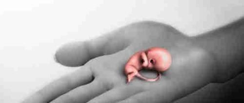 流产|为什么建议女性第一胎尽量留下可能很多人不了解真相